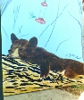 Dream of the Honeybear