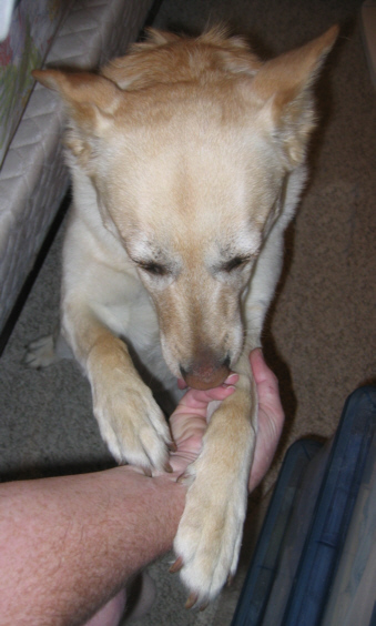 Sandy at home