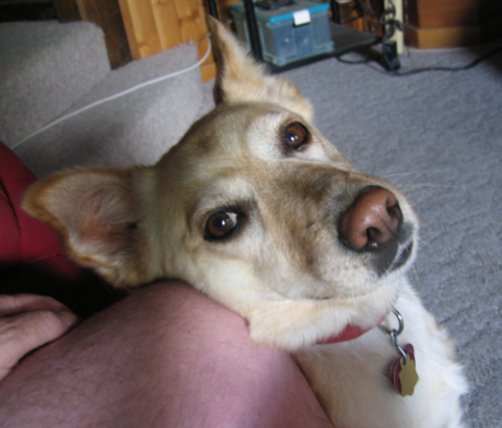 Sandy at home