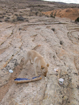 Sandy eats more of the bread and yoghurt
