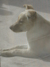 Sandy at peace