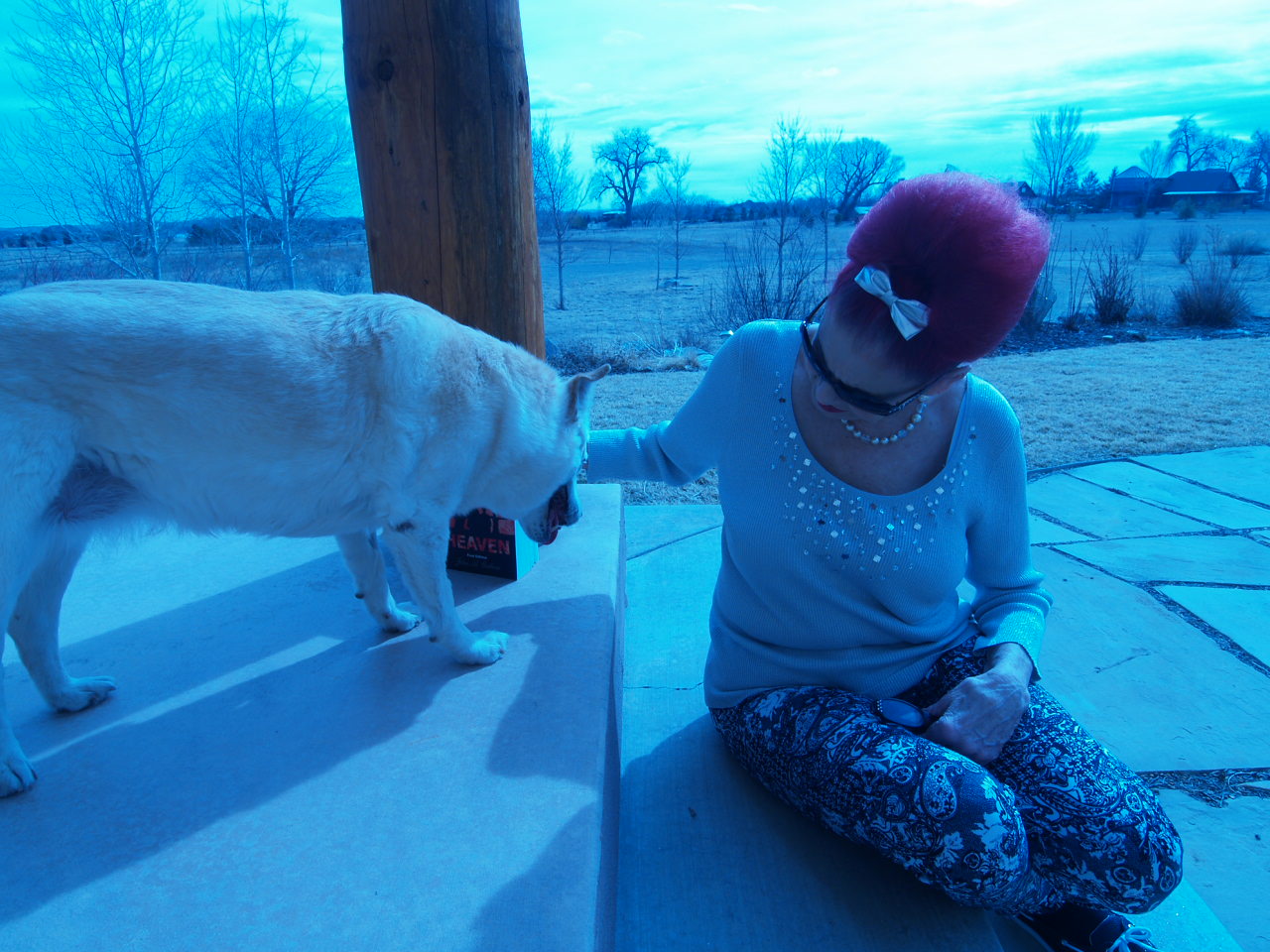 Sandy at home