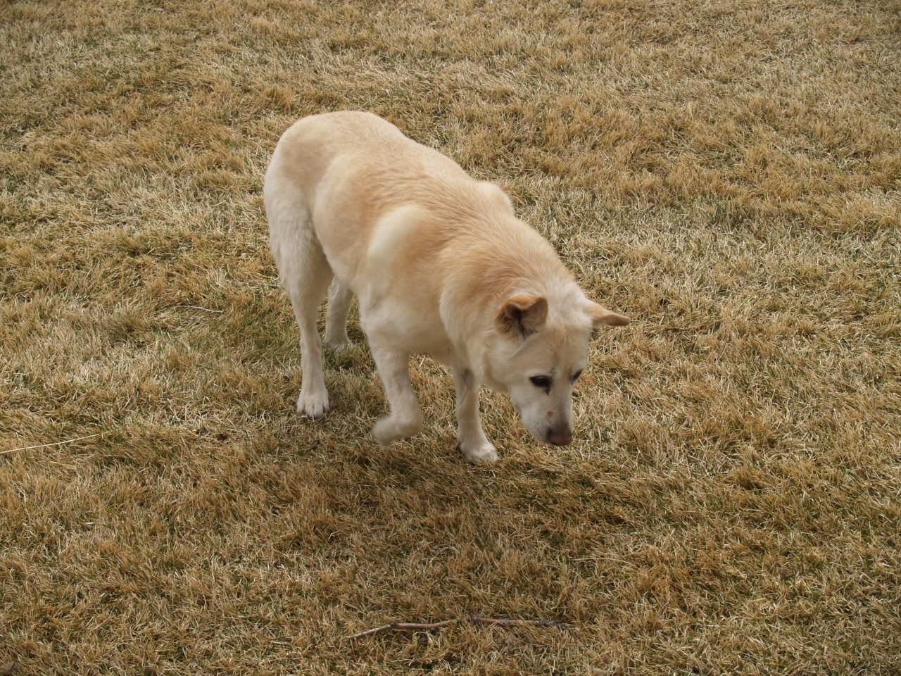 Sandy at home