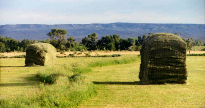 Hay stacks, south of Casper